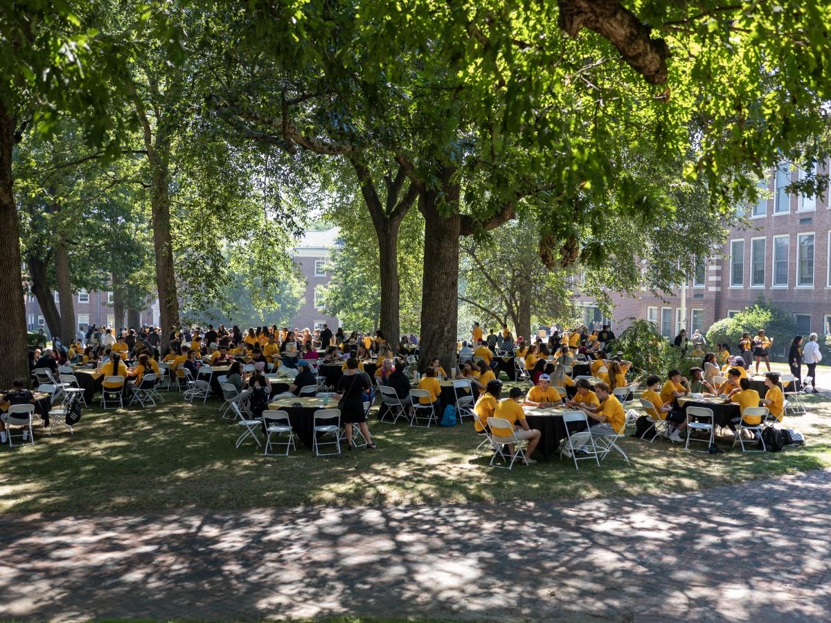 Picnic in Crocker Grove